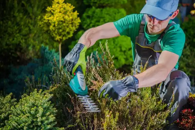 landscaping services Greenwich